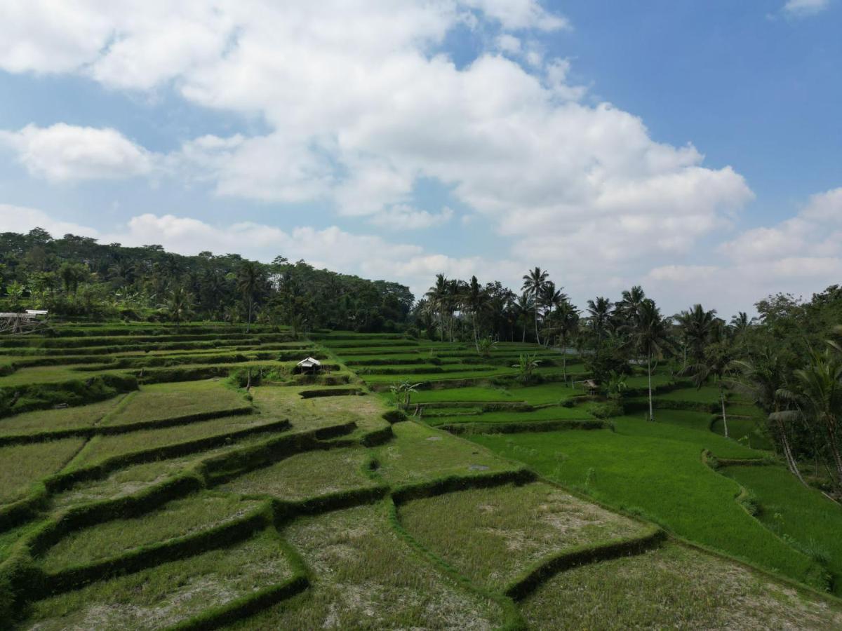 Wina Wani Bungalows Tetebatu Exterior foto