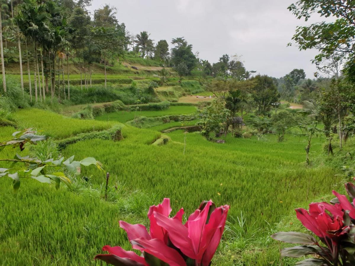 Wina Wani Bungalows Tetebatu Exterior foto